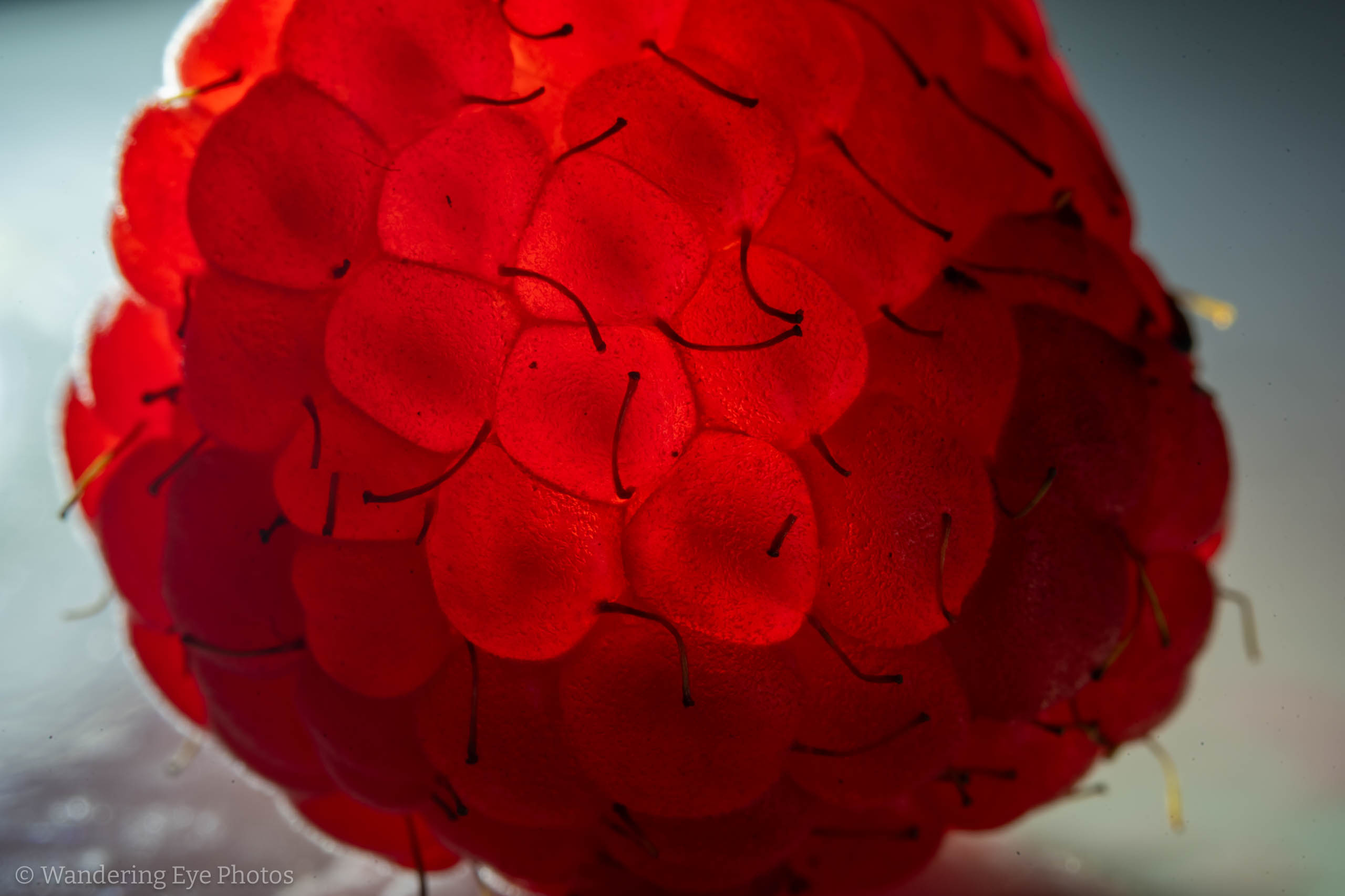 10.29 17.12.46   DSC09186